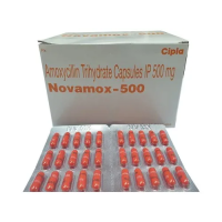 Novamox 500 mg