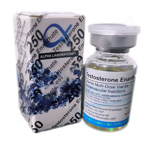 Testosterone Enanthate 250 (ALP Laboratories)