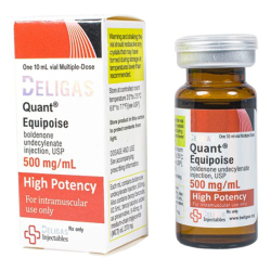 Quant-Equipoise 500