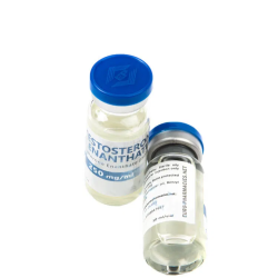 Testosterone Enanthate (Euro-Pharmacies, Europe)