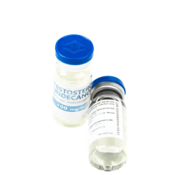 Testosterone Undecanoate