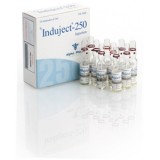 Induject-250 amp. 