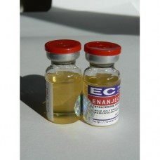 EnanJect  5ml(250mg/ml)