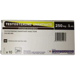 (Best Before 11/2024) Testosterone Enanthate 250 (Best Before 11/2024) Testosterone Enanthate 250