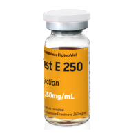 Test E 250 Test E 250