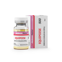 EQUIPOISE 500 EQUIPOISE 500